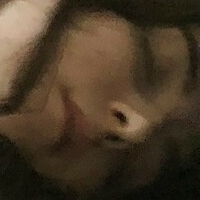 Гарнет Юнивёрс 12 Голая